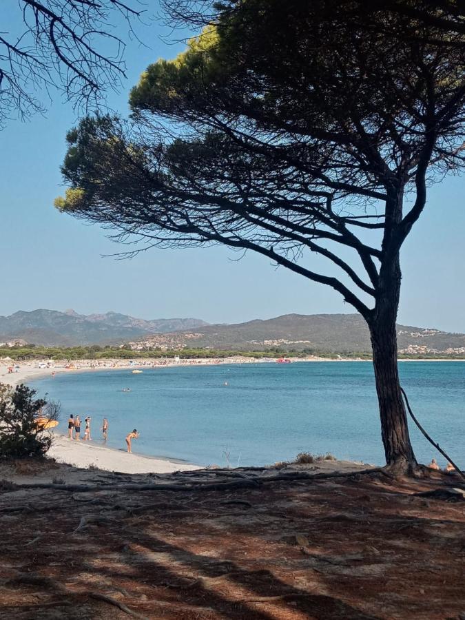 Appartamento Casabellavista Budoni Esterno foto